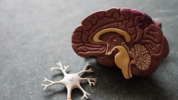 GLP-1 Medications and Nutrition: What You Need to Know