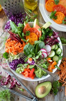 Gut Health: Why Your Microbiome Matters