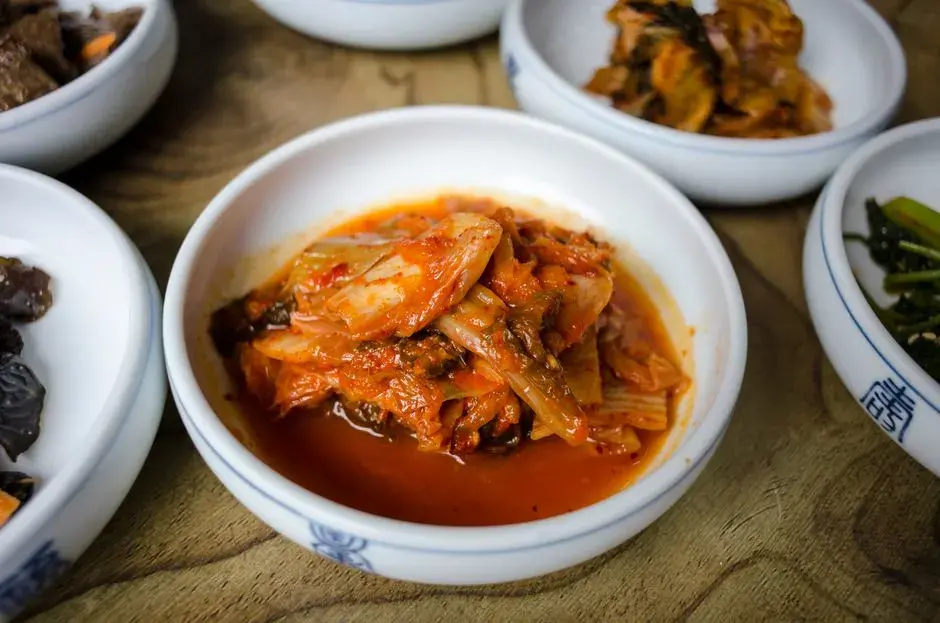 Gut health nutrition — fermented foods and probiotics